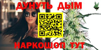 сатива Будённовск