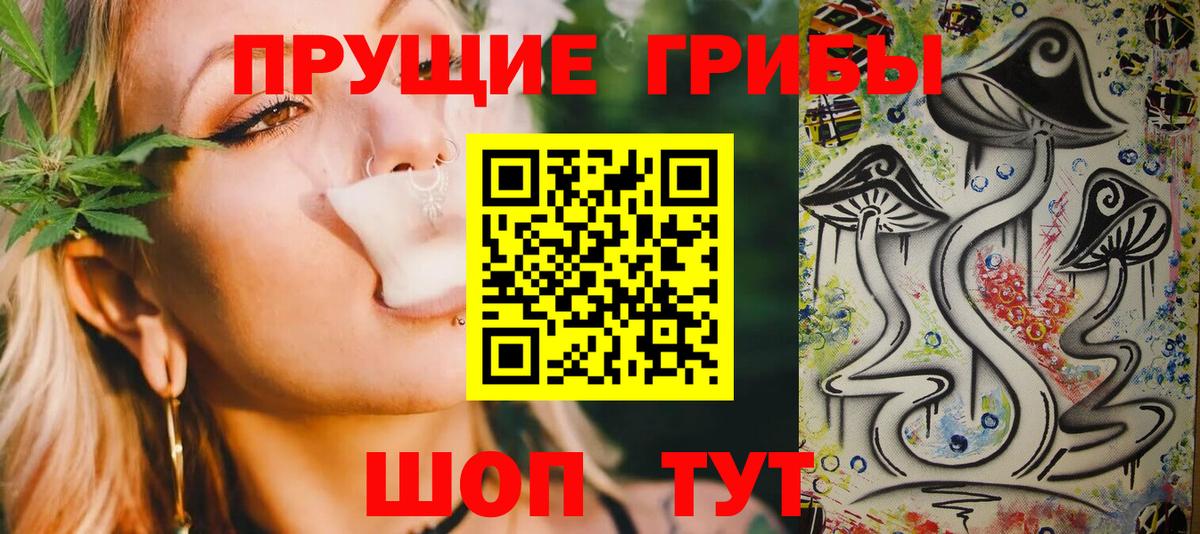 Галлюциногенные грибы GOLDEN TEACHER  Вход с VPN  Сызрань  Псилоцибиновые грибы MAGIC MUSHROOMS 
